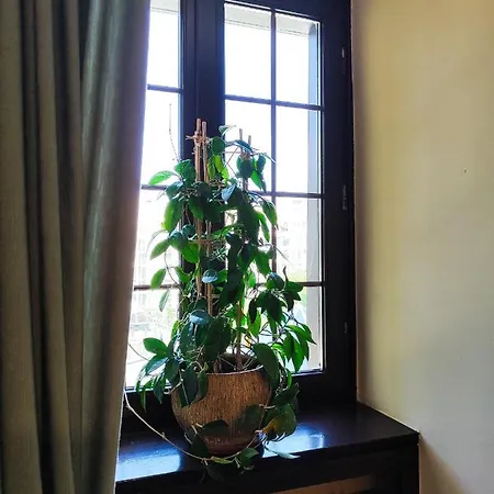 Lejlighedshotel 315 Dla Dwoch Osob Z Prywatna Lazienka - Piotrkowska 262-264