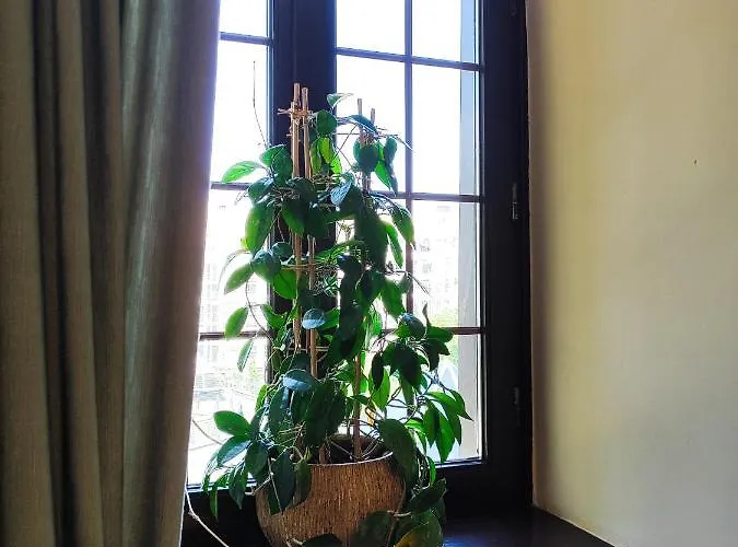 Apart-hotel Pokój 315 Dla Dwóch Osób Z Prywatną łazienką - Piotrkowska 262-264